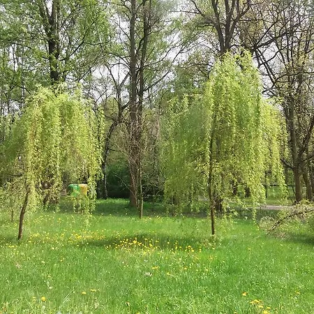 Apartament Parkowy Katowice